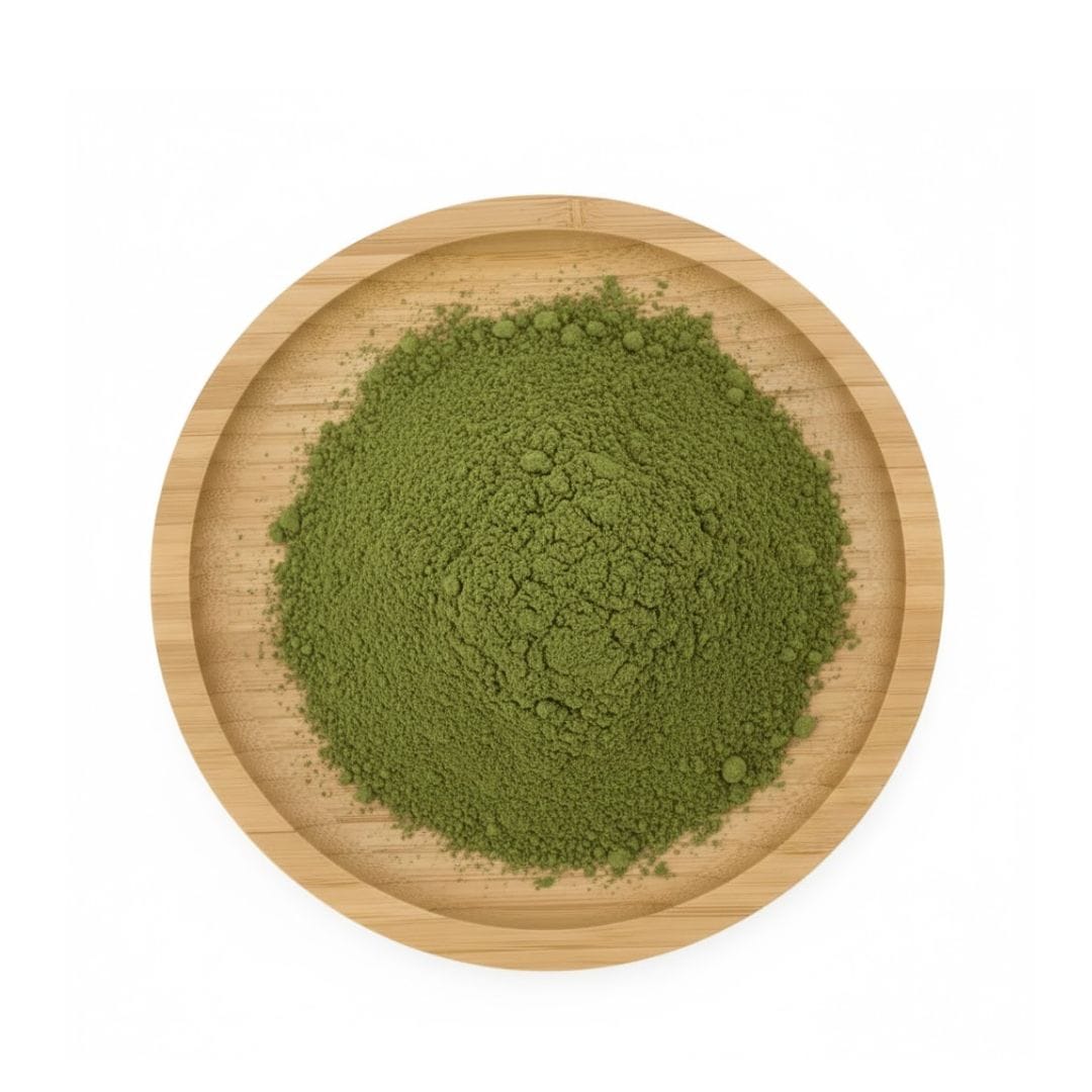 Moringa Extract