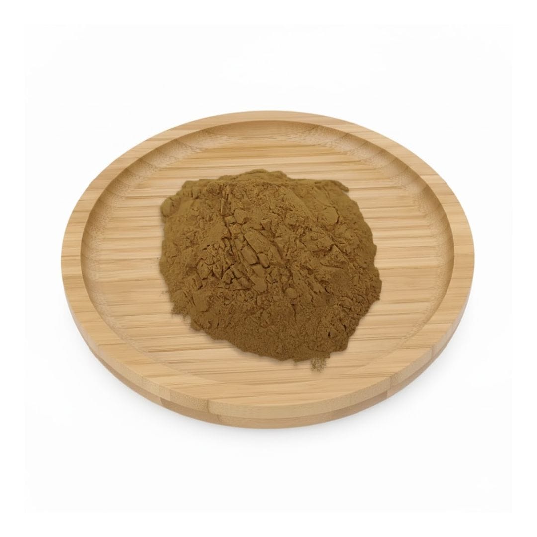 Mullein Leaf Extract Powder Mullein Leaf Powder